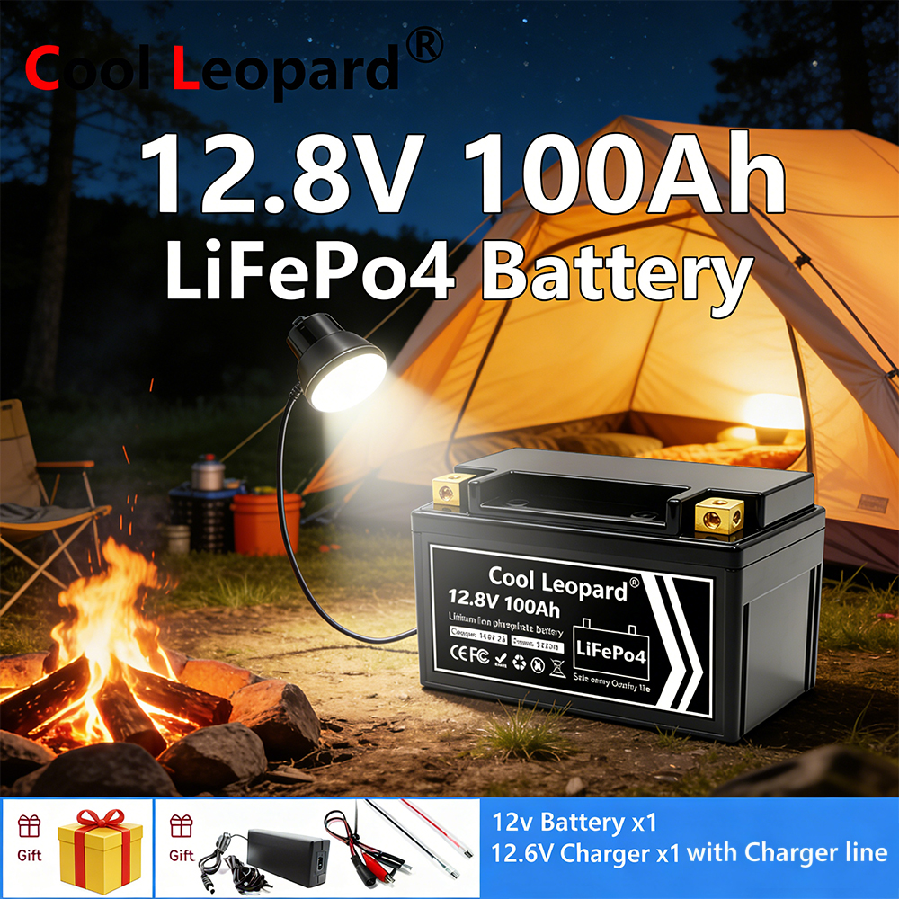 Bateria leve 12V 100Ah LiFePO4 - Fish Finder Charger avaliação e preço